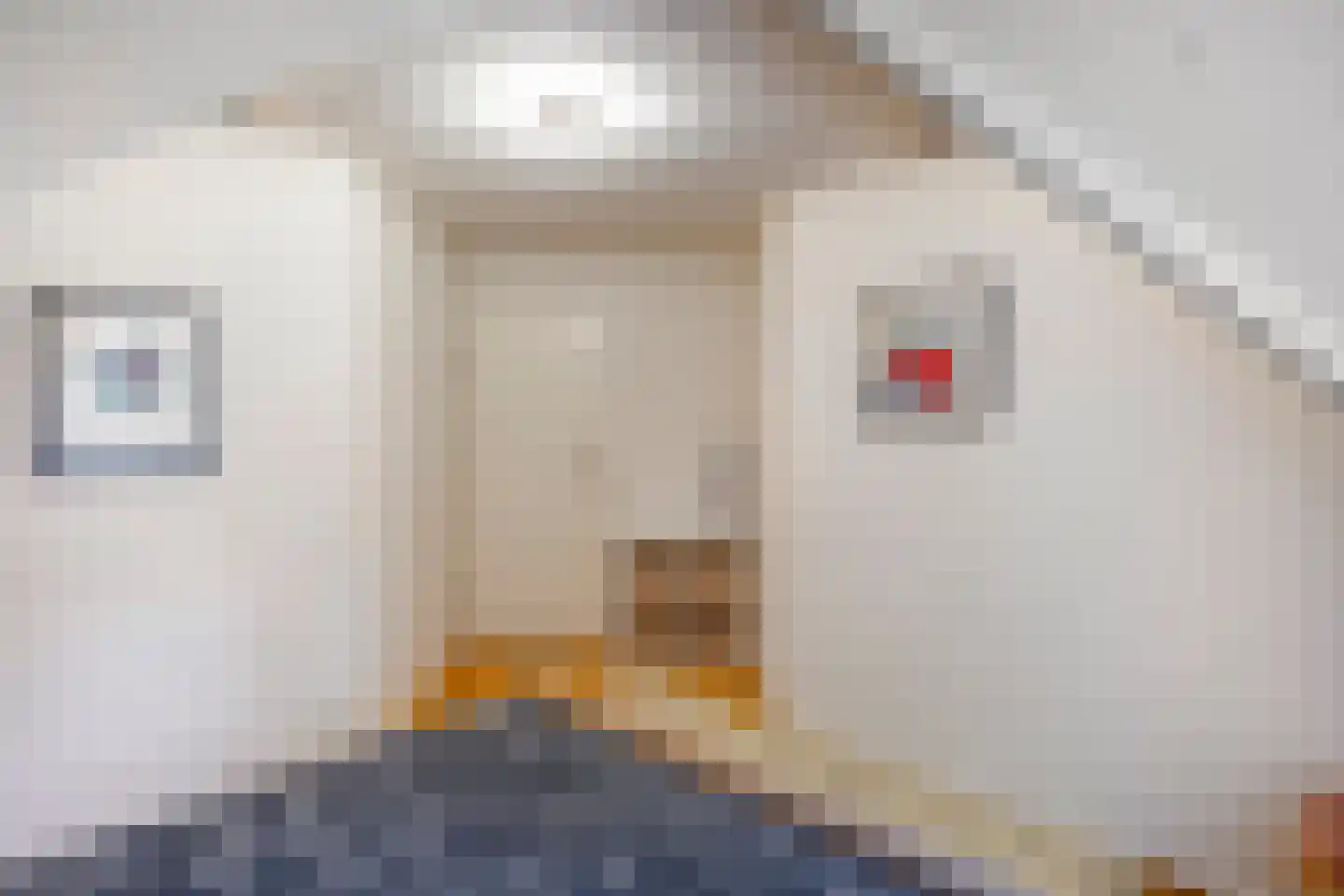 Wolfskuilstraat 10 Ommen thumbnail 33