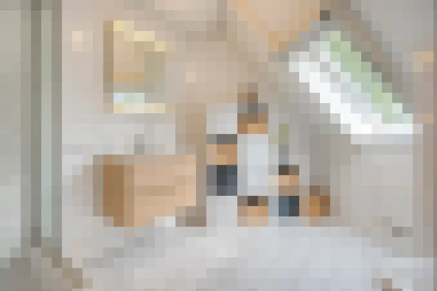 Wolfskuilstraat 10 Ommen thumbnail 34