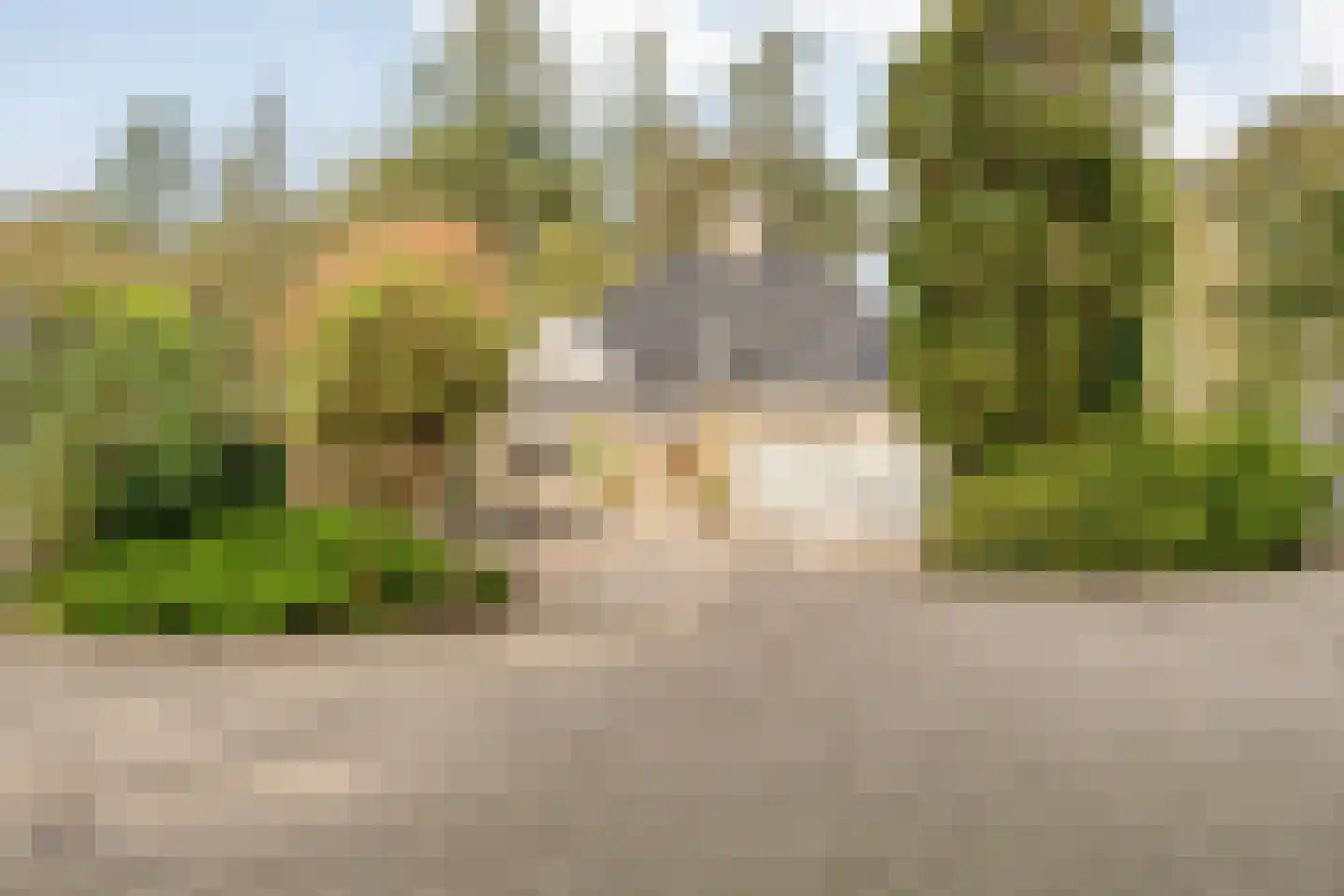 Wolfskuilstraat 10 Ommen thumbnail 40