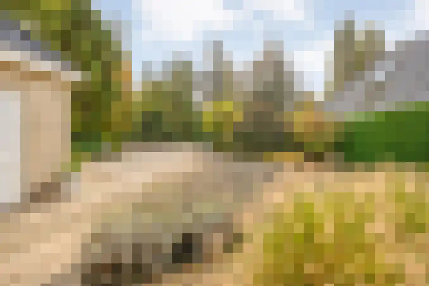 Wolfskuilstraat 10 Ommen thumbnail 46