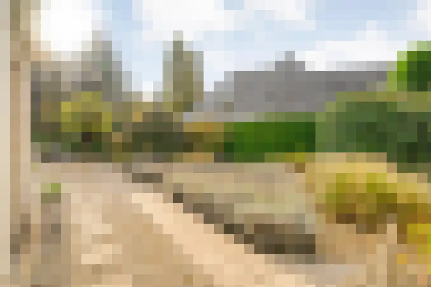 Wolfskuilstraat 10 Ommen thumbnail 47