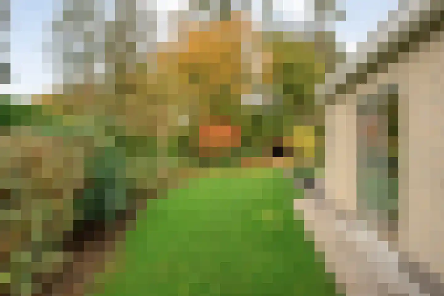 Wolfskuilstraat 10 Ommen thumbnail 49
