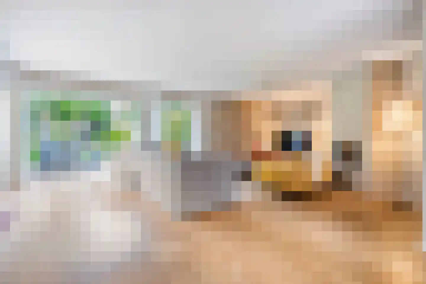 Wolfskuilstraat 10 Ommen thumbnail 5