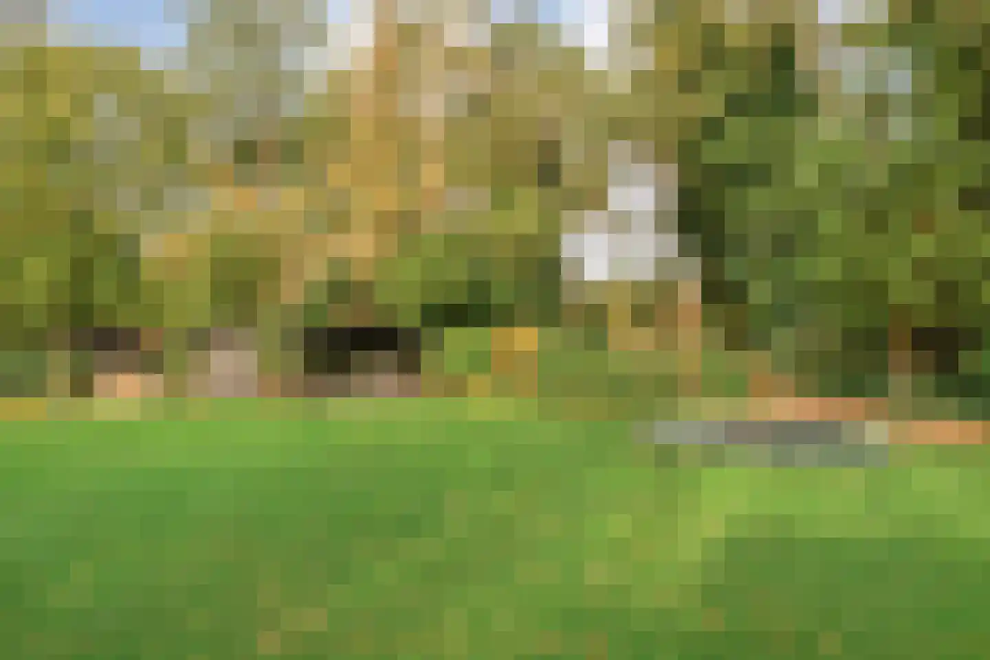 Wolfskuilstraat 10 Ommen thumbnail 58