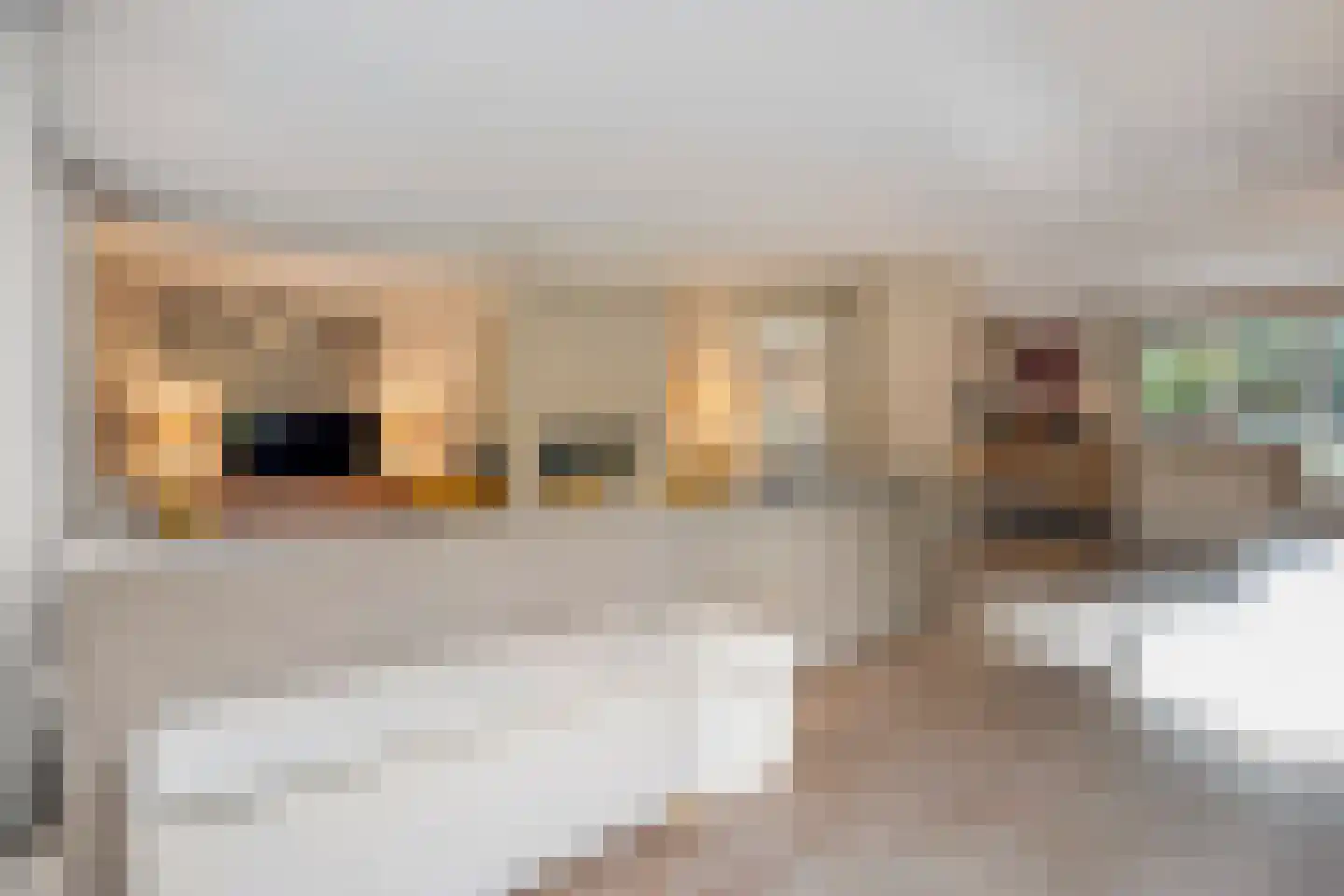 Wolfskuilstraat 10 Ommen thumbnail 8