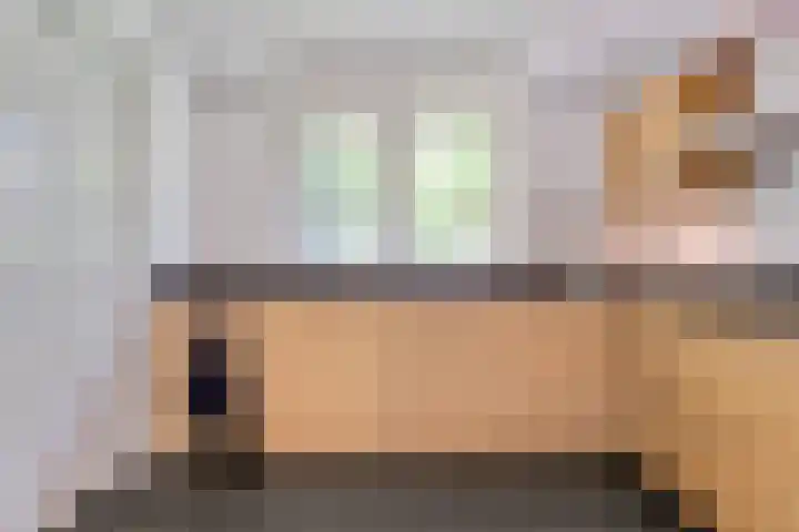 Wolfskuilstraat 22 Ommen thumbnail 15
