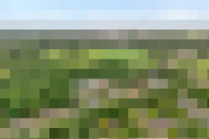 Wolfskuilstraat 22 Ommen thumbnail 5
