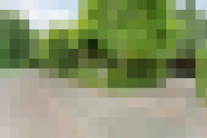 Wolfskuilstraat 22 Ommen thumbnail 61
