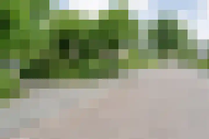 Wolfskuilstraat 22 Ommen thumbnail 62