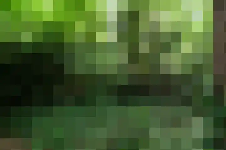 Wolfskuilstraat 22 Ommen thumbnail 66