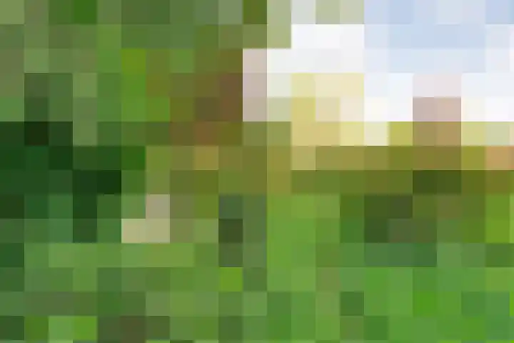 Wolfskuilstraat 22 Ommen thumbnail 68