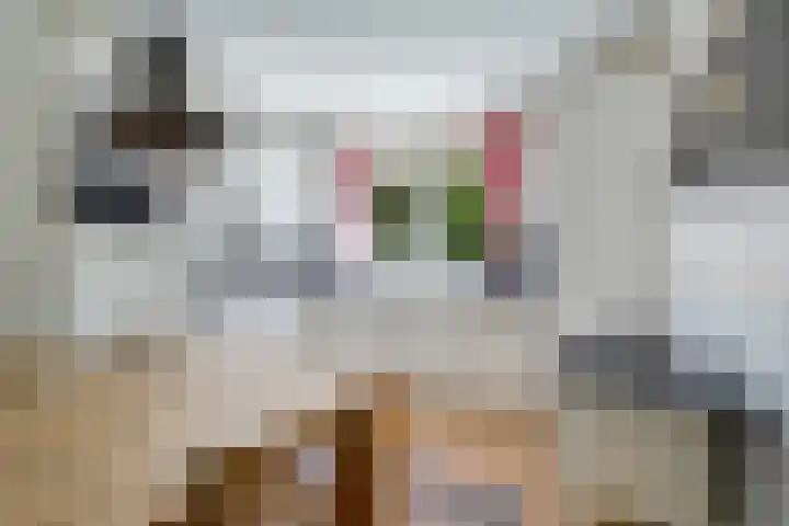 Wolfskuilstraat 7 Ommen thumbnail 17