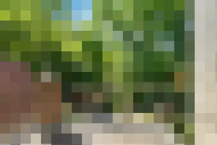Wolfskuilstraat 7 Ommen thumbnail 27