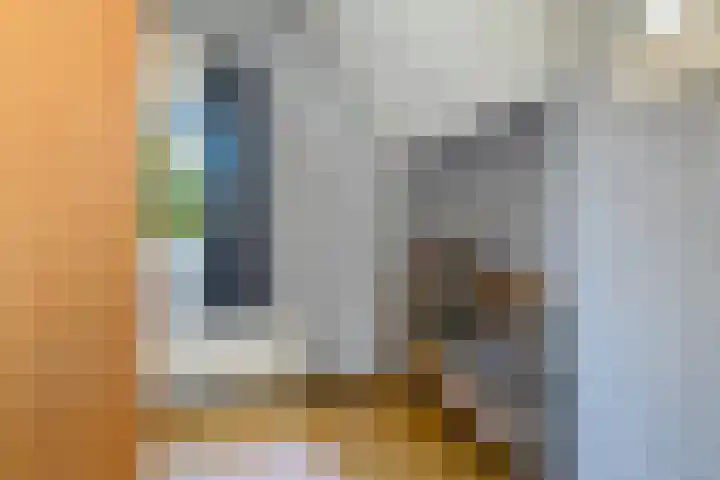 Wolfskuilstraat 7 Ommen thumbnail 31