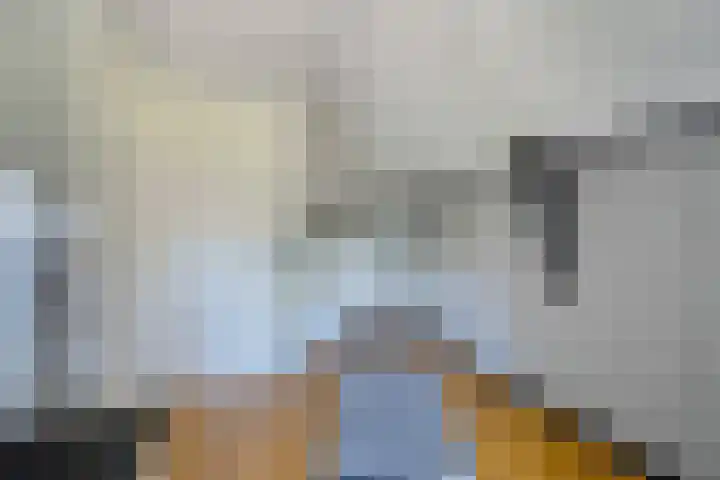 Wolfskuilstraat 7 Ommen thumbnail 33
