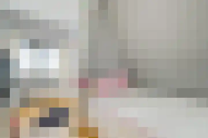 Wolfskuilstraat 7 Ommen thumbnail 34