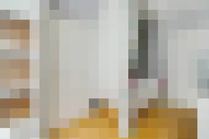 Wolfskuilstraat 7 Ommen thumbnail 35