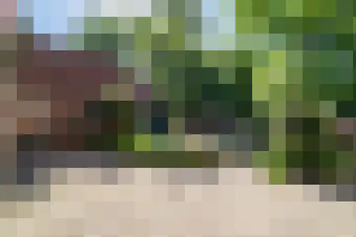 Wolfskuilstraat 7 Ommen thumbnail 38