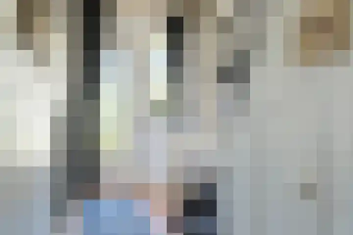 Wolfskuilstraat 7 Ommen thumbnail 4