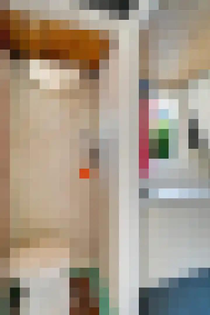 Wolfskuilstraat 7 Ommen thumbnail 43