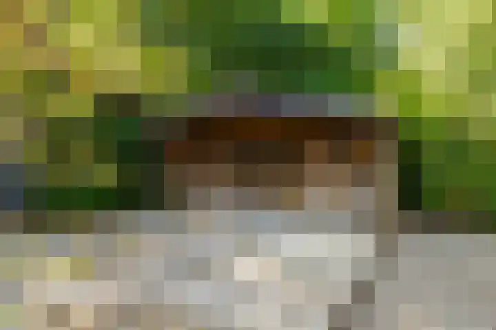 Wolfskuilstraat 7 Ommen thumbnail 46