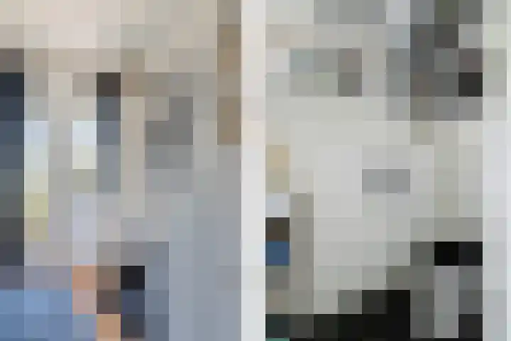 Wolfskuilstraat 7 Ommen thumbnail 5