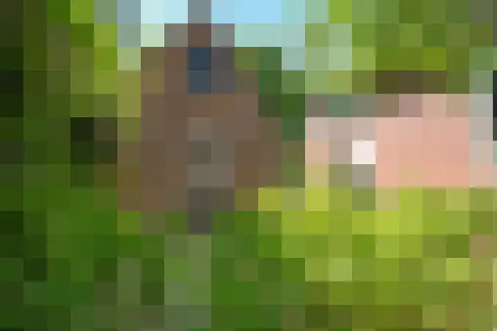 Wolfskuilstraat 7 Ommen thumbnail 50