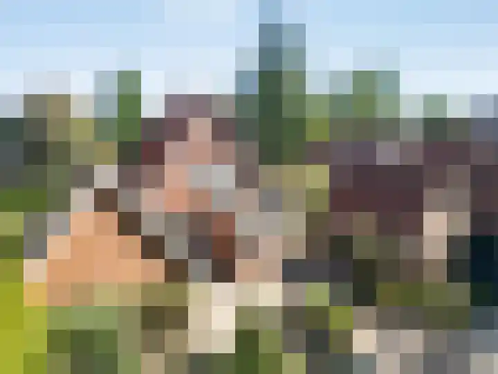 Wolfskuilstraat 7 Ommen thumbnail 54
