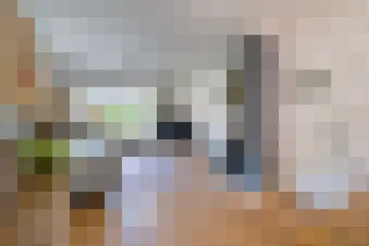 Wolfskuilstraat 7 Ommen thumbnail 7
