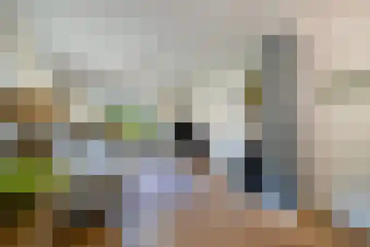 Wolfskuilstraat 7 Ommen thumbnail 8