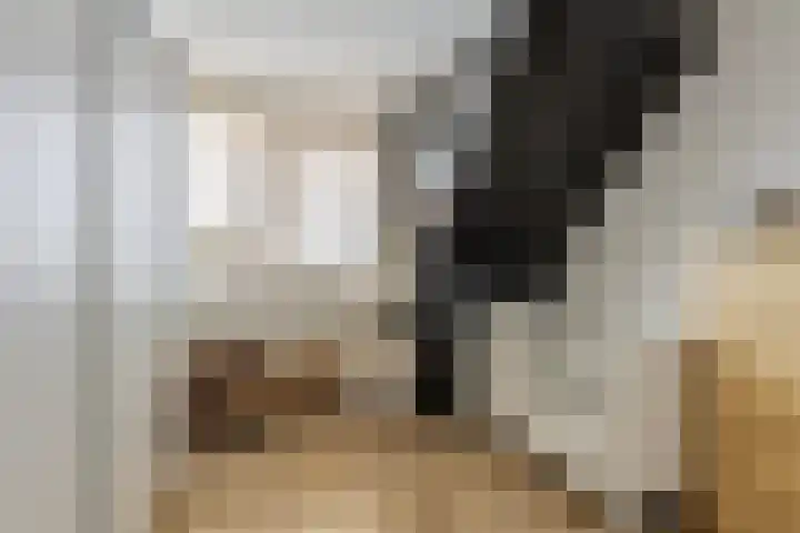 Wolfslaar 32 Oosterhout thumbnail 18