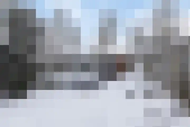 Wolfslaar 32 Oosterhout thumbnail 24