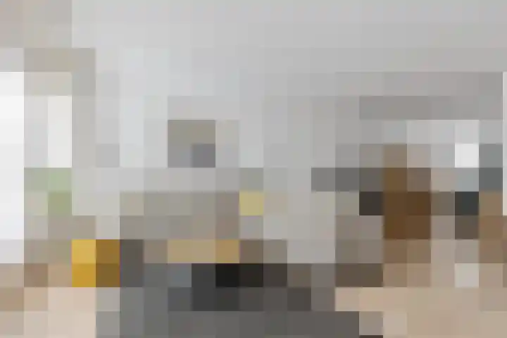 Wolfslaar 32 Oosterhout thumbnail 4