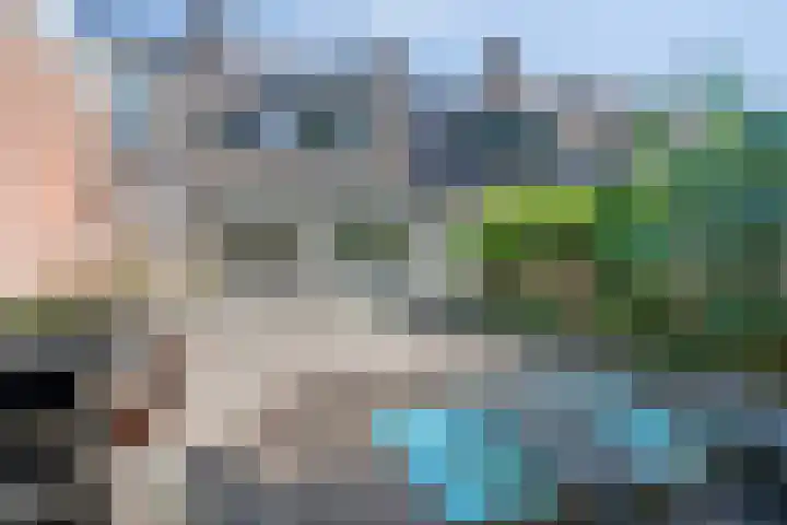 Wolfslaar 6 Oosterhout thumbnail 29