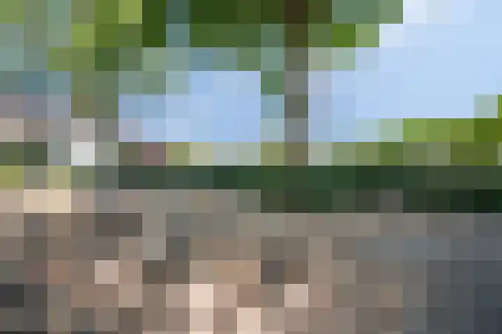 Wolfslaar 6 Oosterhout thumbnail 32
