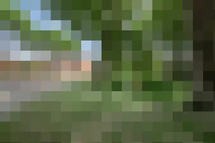 Wolfslaar 6 Oosterhout thumbnail 33