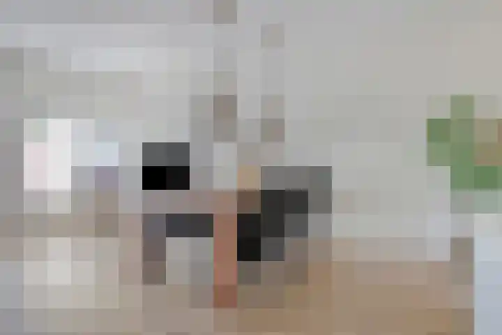 Wolfslaar 6 Oosterhout thumbnail 7