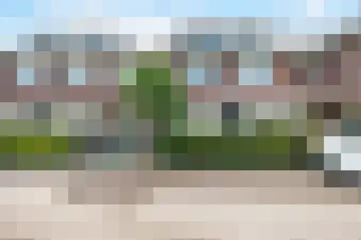 Wolfsmelkhof 19 in Beilen