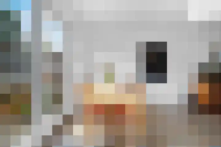 Wolfsmelkhof 19 Beilen thumbnail 10