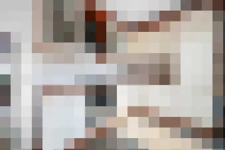 Wolfsmelkhof 19 Beilen thumbnail 12