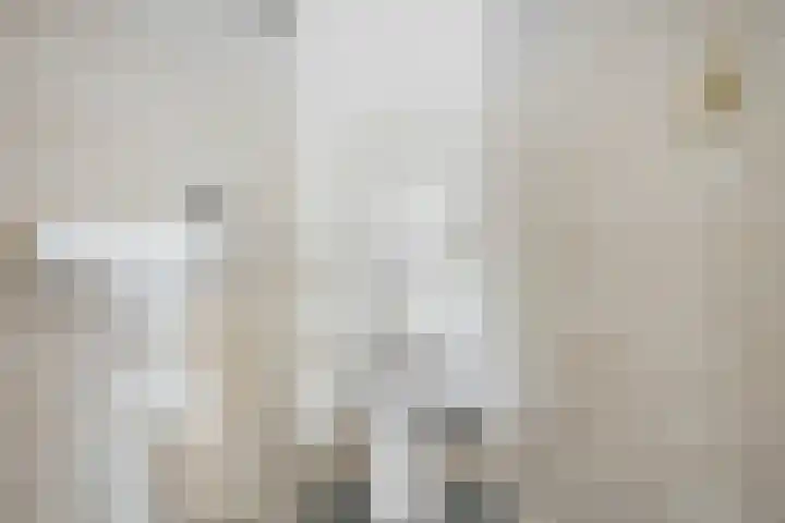 Wolfsmelkhof 19 Beilen thumbnail 15