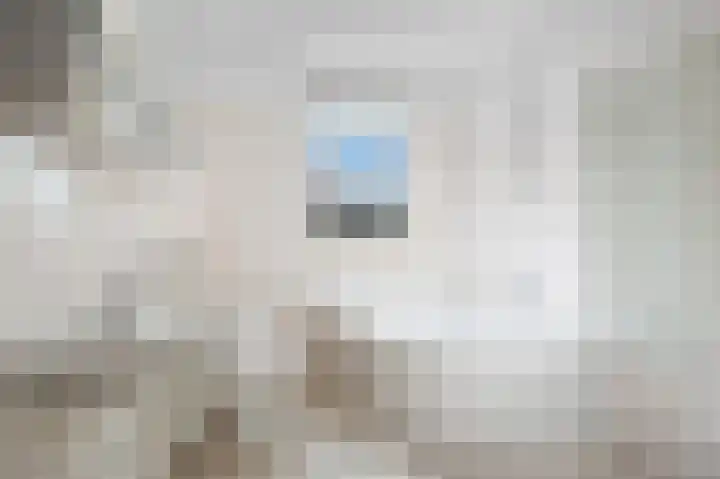 Wolfsmelkhof 19 Beilen thumbnail 21