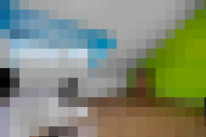 Wolfsmelkhof 19 Beilen thumbnail 25