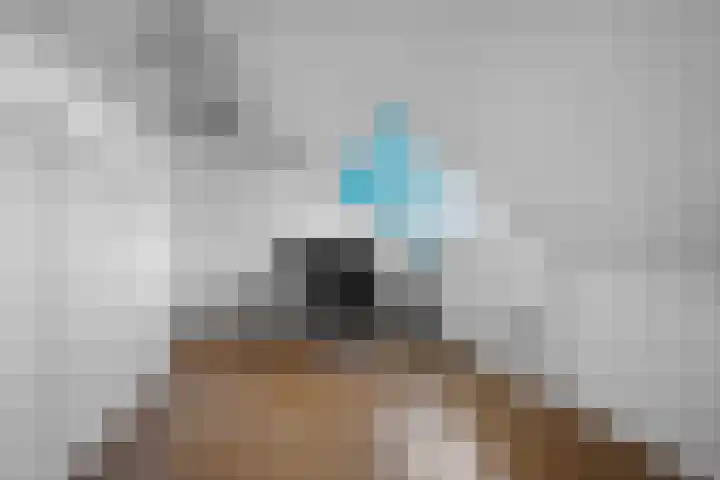 Wolfsmelkhof 19 Beilen thumbnail 26