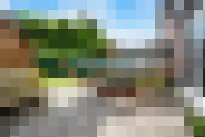 Wolfsmelkhof 19 Beilen thumbnail 27