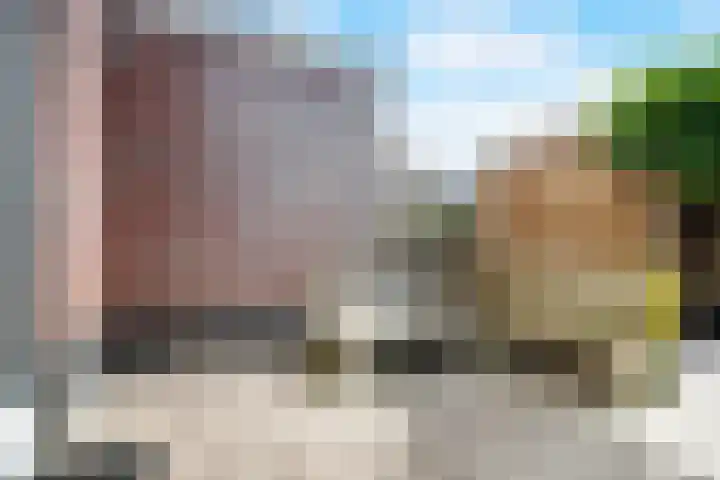 Wolfsmelkhof 19 Beilen thumbnail 28