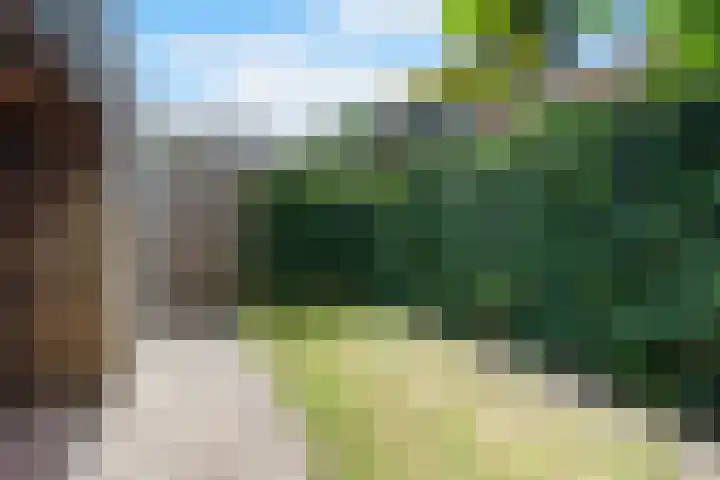 Wolfsmelkhof 19 Beilen thumbnail 29