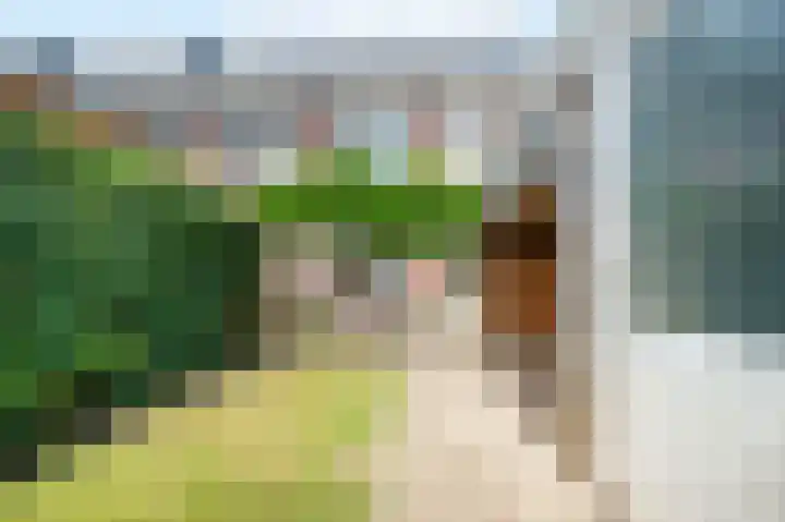 Wolfsmelkhof 19 Beilen thumbnail 30