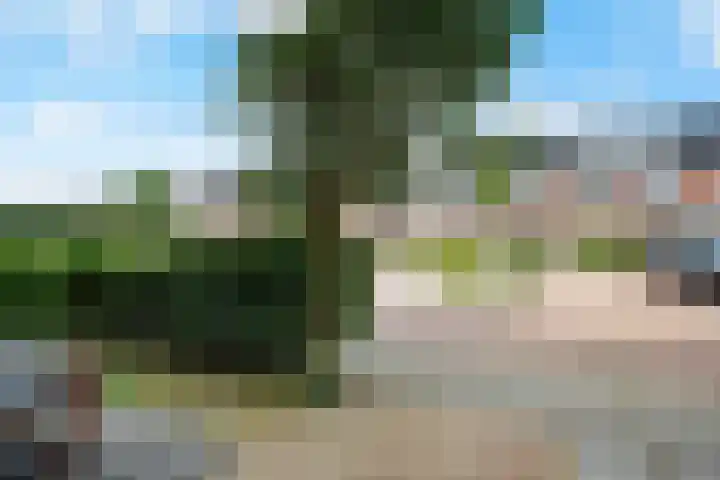 Wolfsmelkhof 19 Beilen thumbnail 32