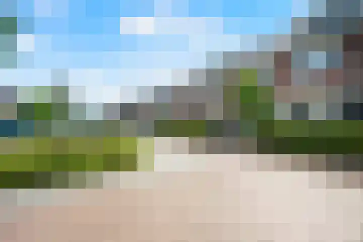 Wolfsmelkhof 19 Beilen thumbnail 33